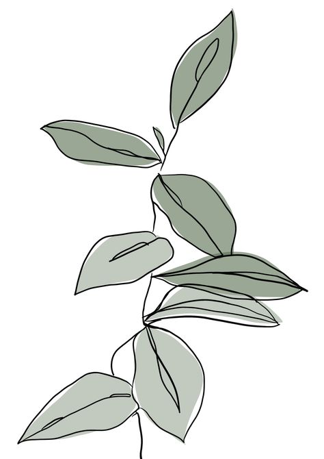 flower.6